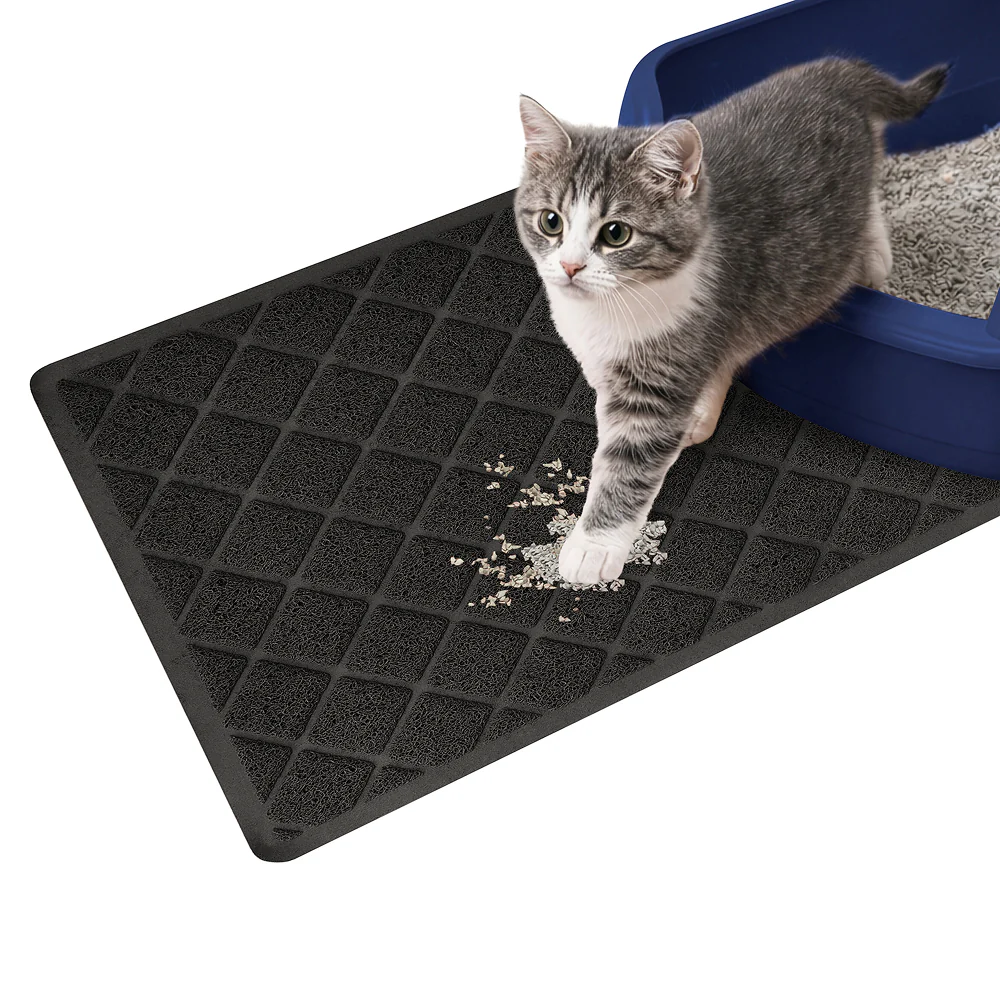 Product image 101